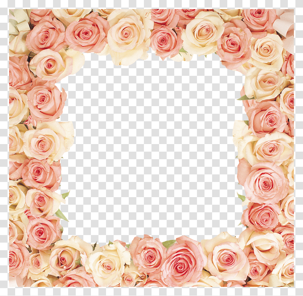 Floral Frame, Flower Transparent Png