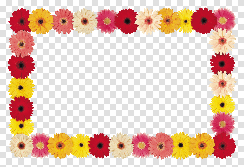 Floral Frame, Flower Transparent Png