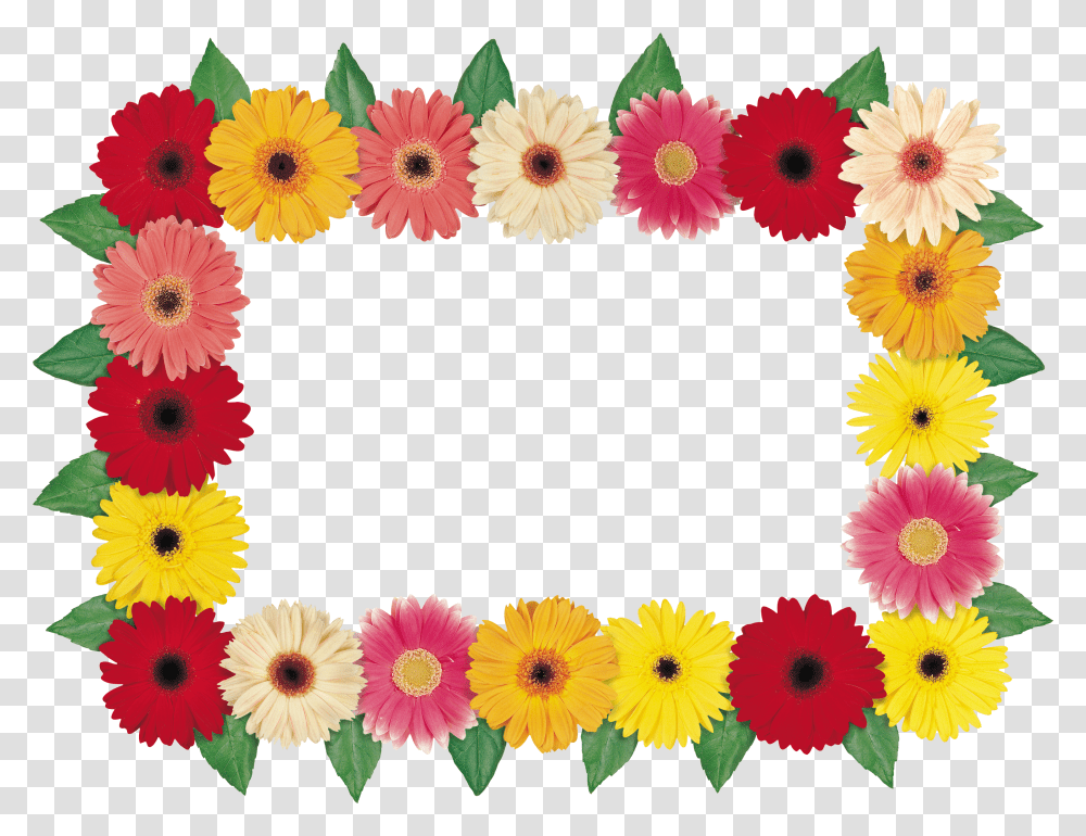 Floral Frame, Flower Transparent Png