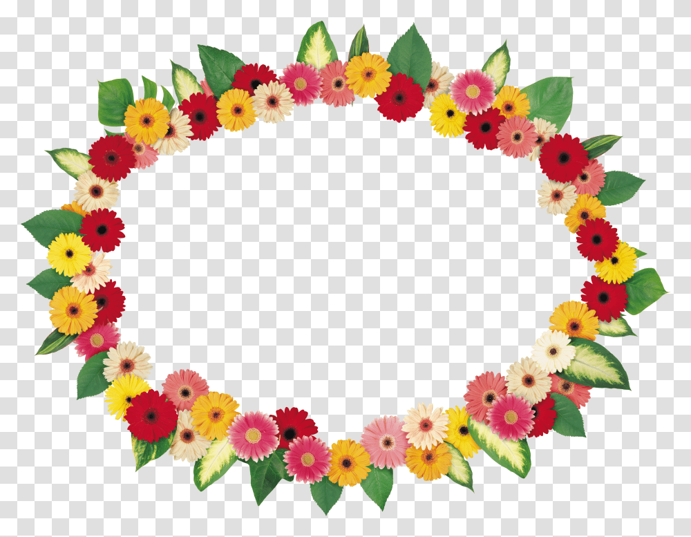 Floral Frame, Flower Transparent Png