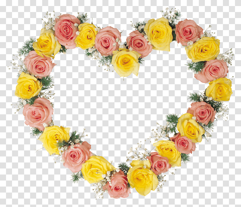 Floral Frame, Flower Transparent Png