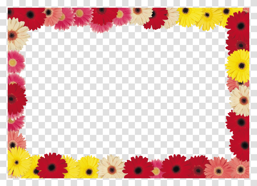 Floral Frame, Flower Transparent Png