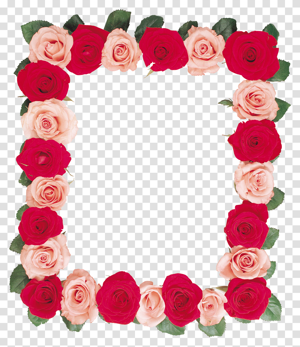 Floral Frame, Flower Transparent Png