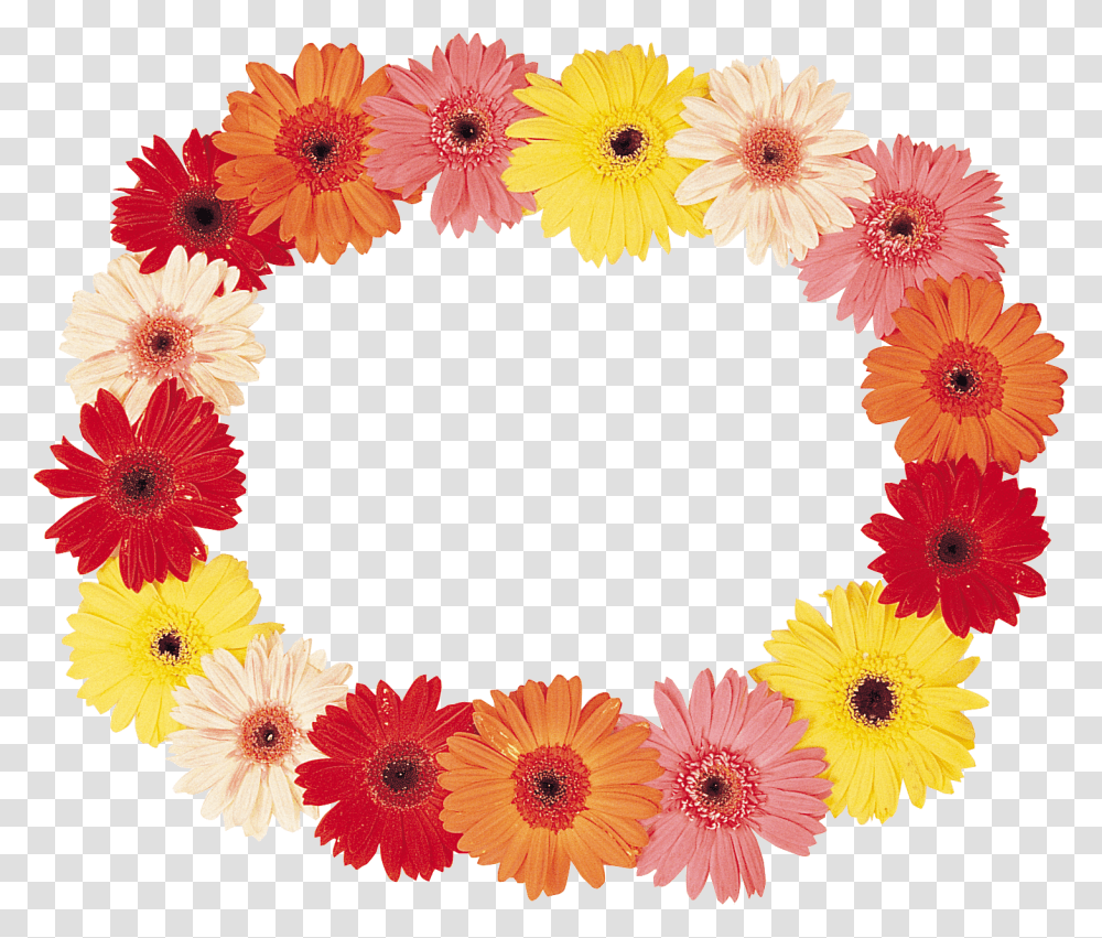 Floral Frame, Flower, Wreath, Plant, Blossom Transparent Png