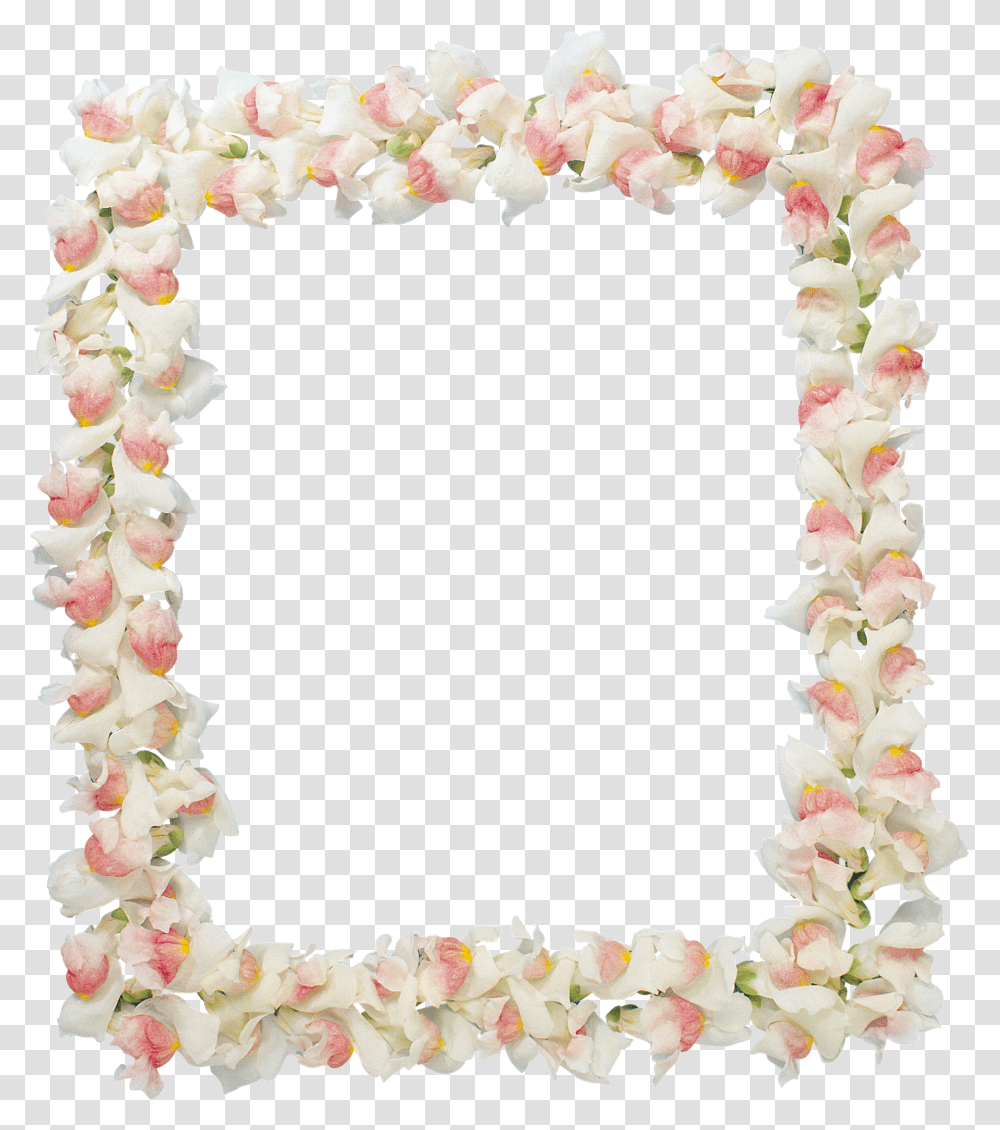 Floral Frame Picture Frame, Plant, Flower, Blossom, Flower Arrangement Transparent Png