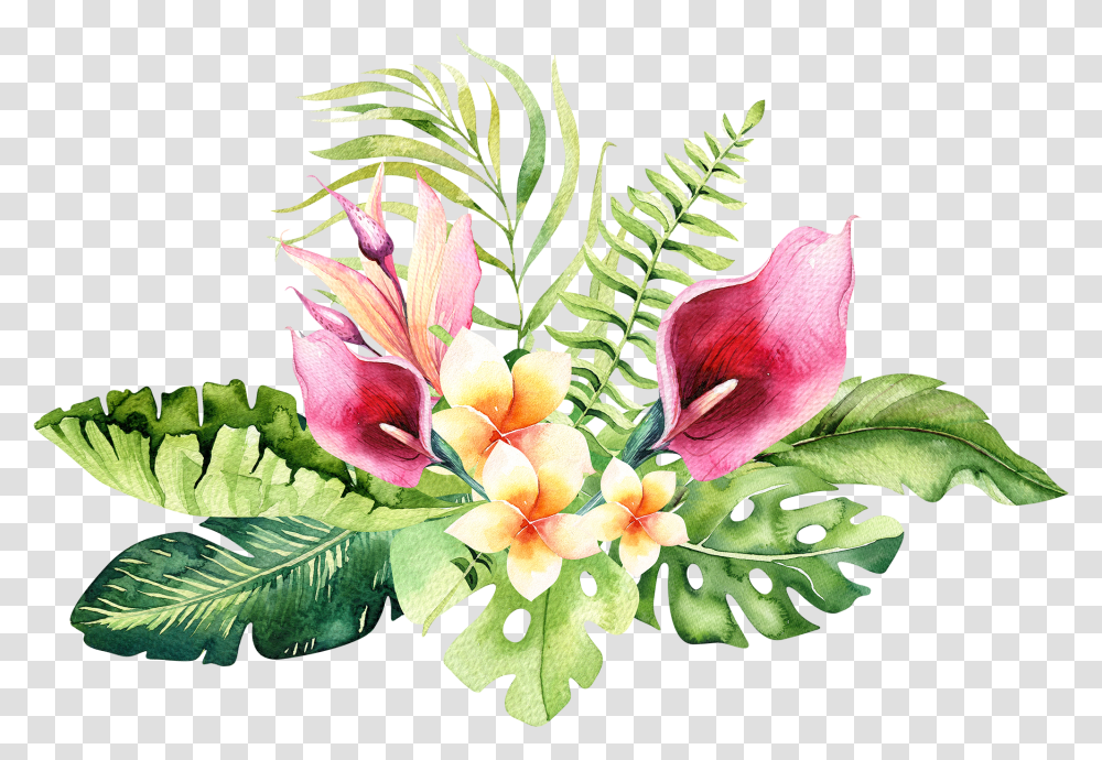 Floral Hand Drawn Watercolor Tropical Flower Background Tropical Flowers, Plant, Blossom, Flower Arrangement, Lily Transparent Png