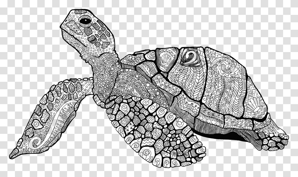 Floral Line Art Big Line Art Turtle, Reptile, Animal, Sea Life, Tortoise Transparent Png