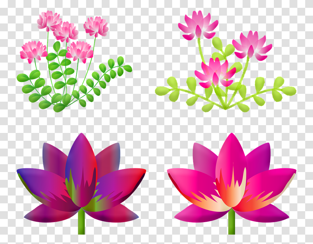 Floral Lotus Flower Lily Flower Nature Pink Pond, Plant, Blossom, Pattern Transparent Png