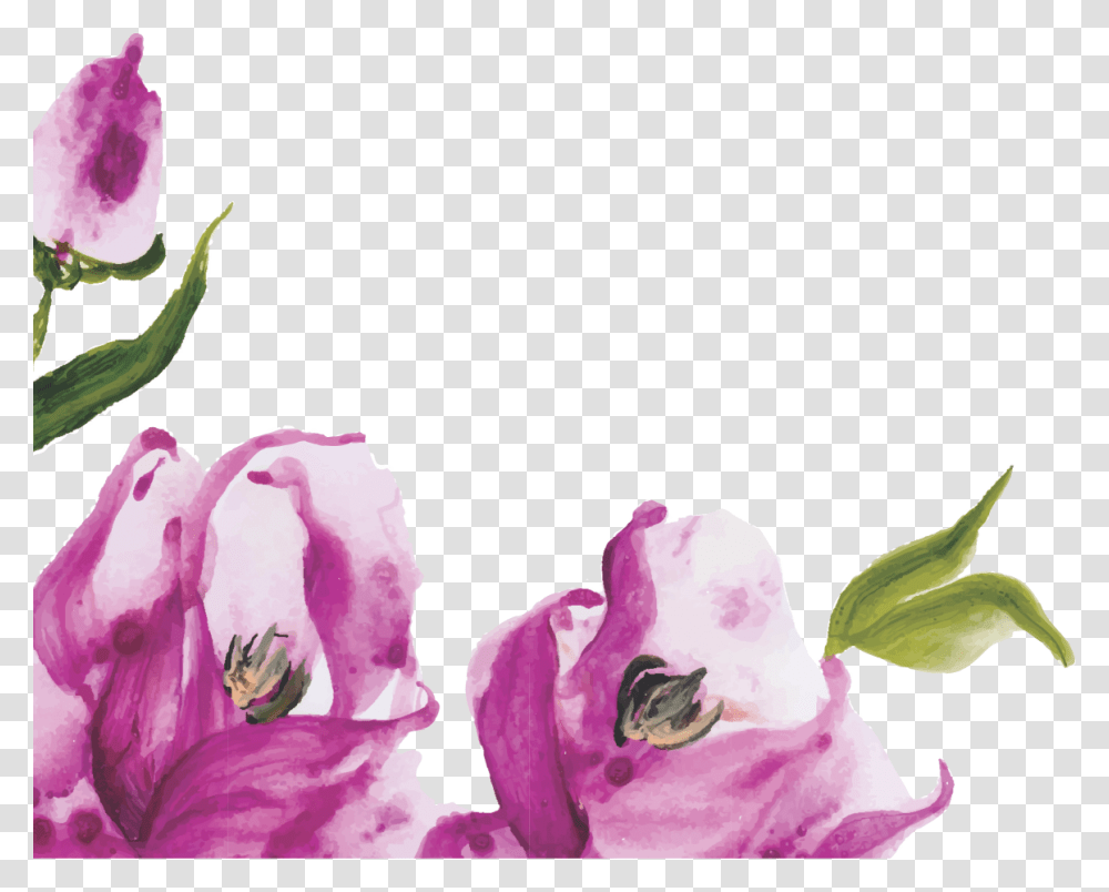Floral Para Baixar Lils Border For Wedding Purple, Plant, Flower, Rose, Petal Transparent Png