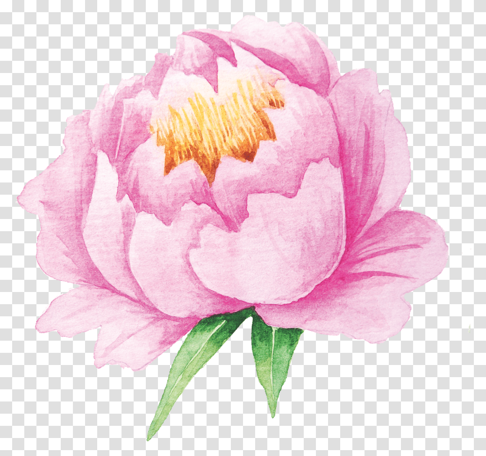 Floral Printable Stickers For Journal, Plant, Rose, Flower, Blossom Transparent Png