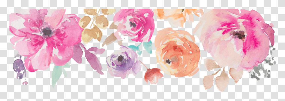 Floral Watercolor Border Free, Plant, Flower, Blossom, Petal Transparent Png