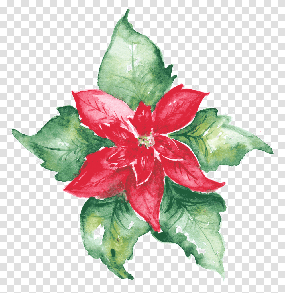 Floral Watercolor, Plant, Flower, Blossom, Leaf Transparent Png