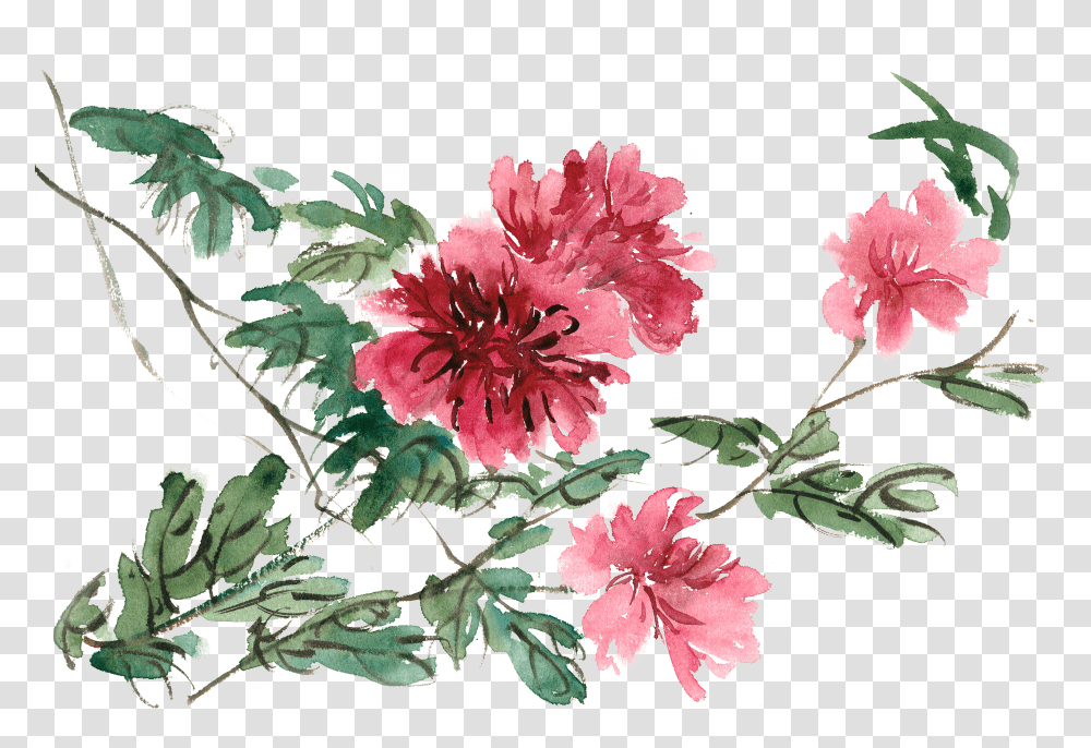 Floral Watercolor Transparent Png