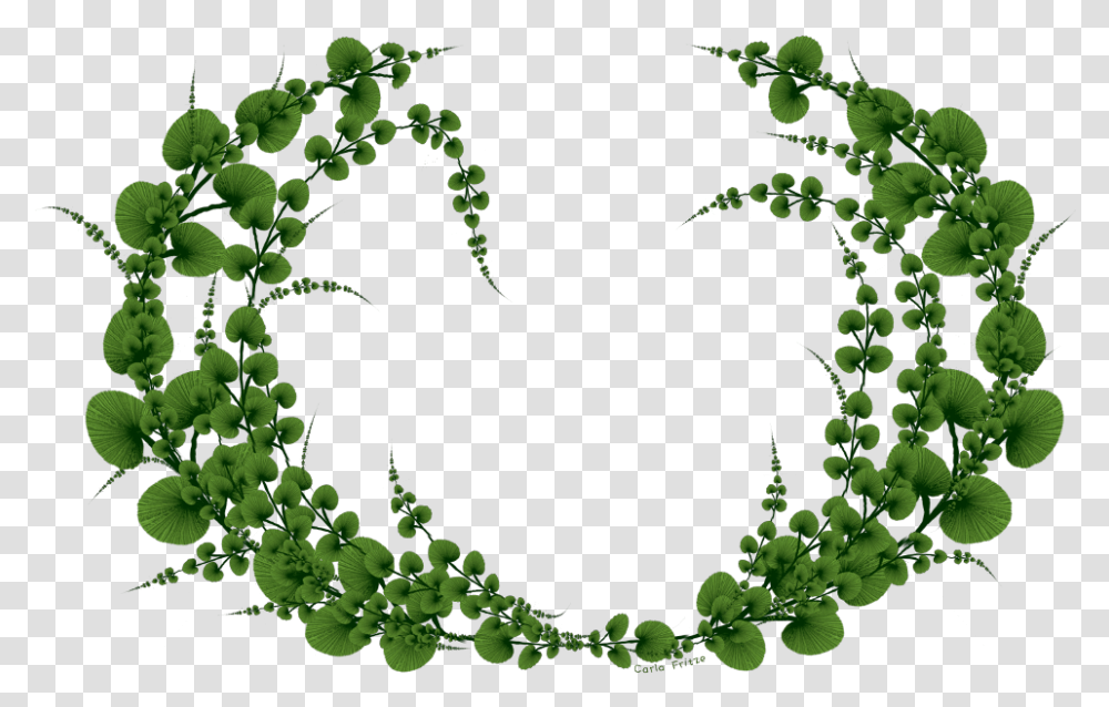 Floral Wreath, Green, Plant, Moss, Pattern Transparent Png
