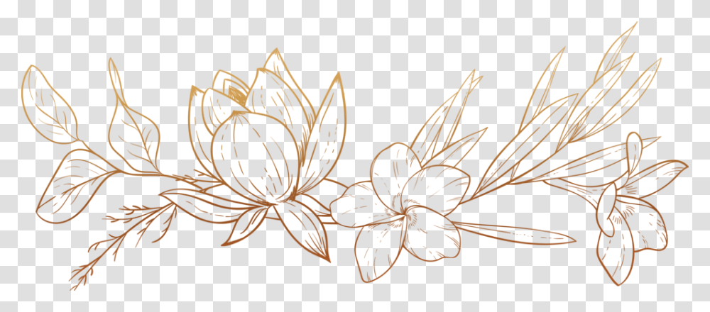 Floralheader, Floral Design, Pattern Transparent Png