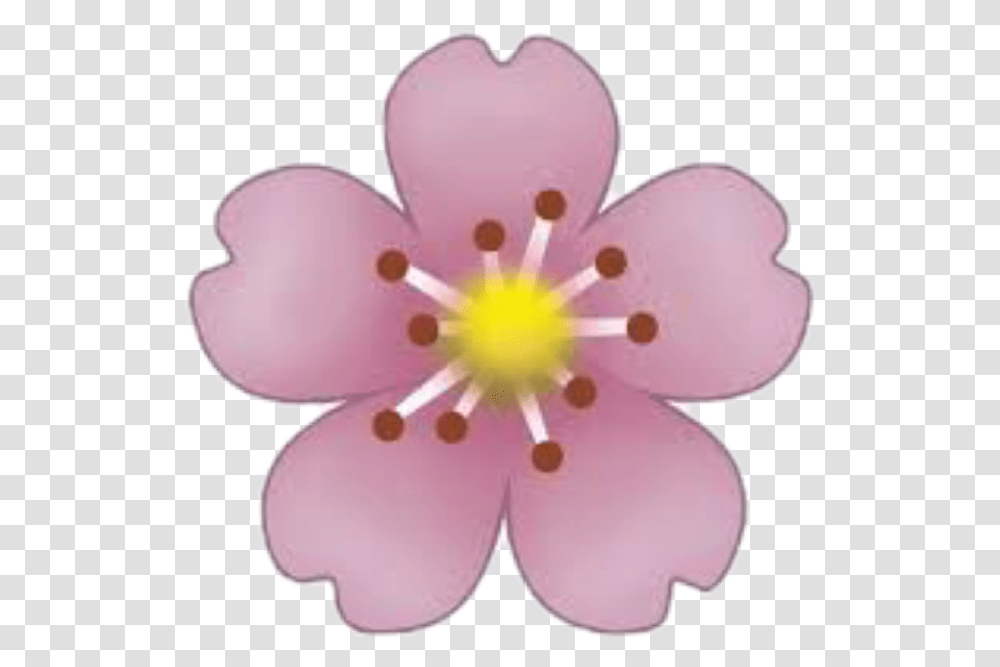 Florecitas Flower Emoji Sticker, Plant, Blossom, Anther, Cherry Blossom Transparent Png