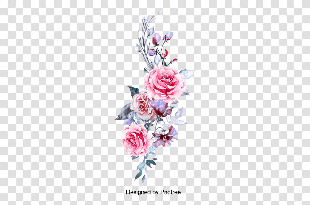 Flores Aquarela Rosa, Plant, Flower, Rose, Flower Arrangement Transparent Png