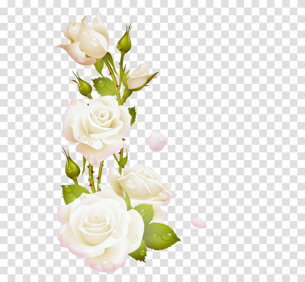 Flores Blancas Wish A Friend Happy Sunday, Plant, Rose, Flower, Blossom Transparent Png