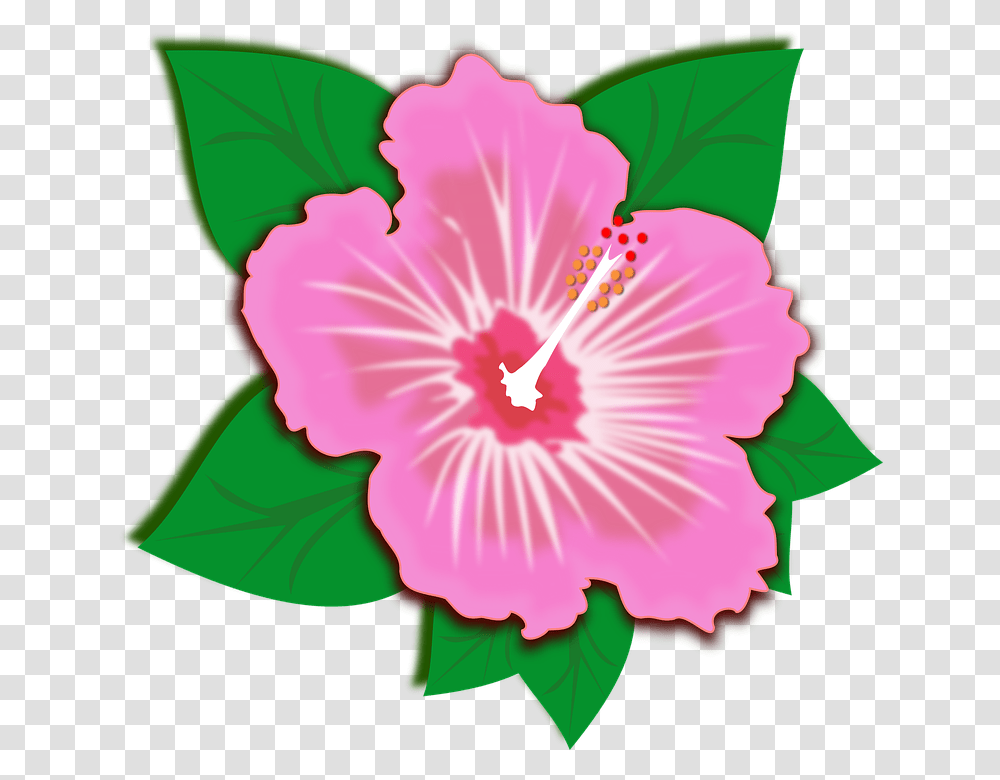 Flores Clipart Group With Items, Hibiscus, Flower, Plant, Blossom Transparent Png