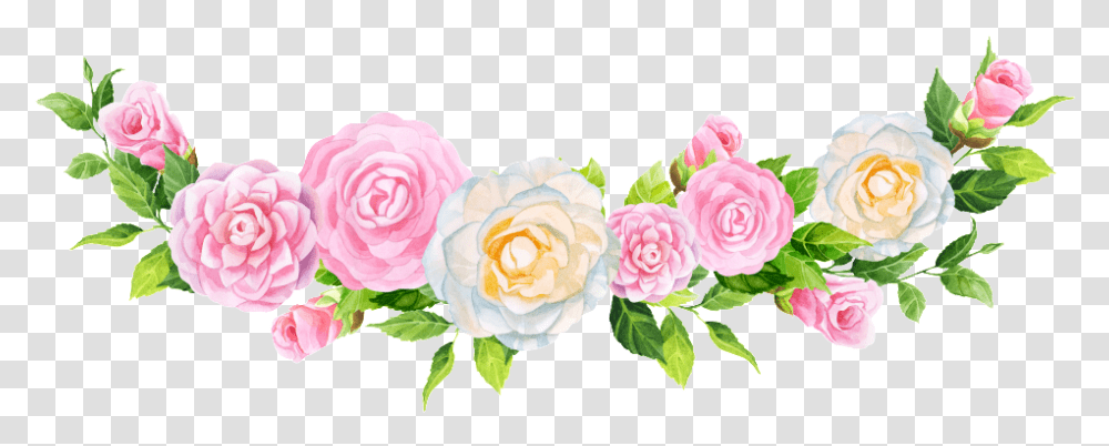 Flores Con Fondo Transparente, Rose, Flower, Plant, Blossom Transparent Png