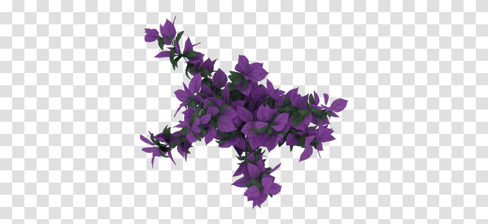 Flores De Arbol, Purple, Plant, Flower, Bush Transparent Png