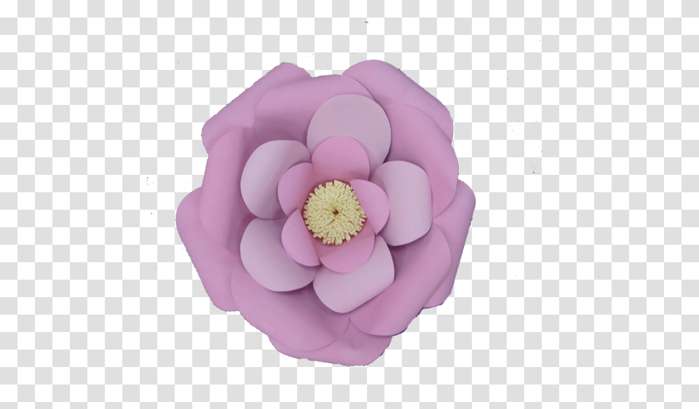 Flores De Cartulina Gnd Japanese Camellia, Dahlia, Flower, Plant, Blossom Transparent Png