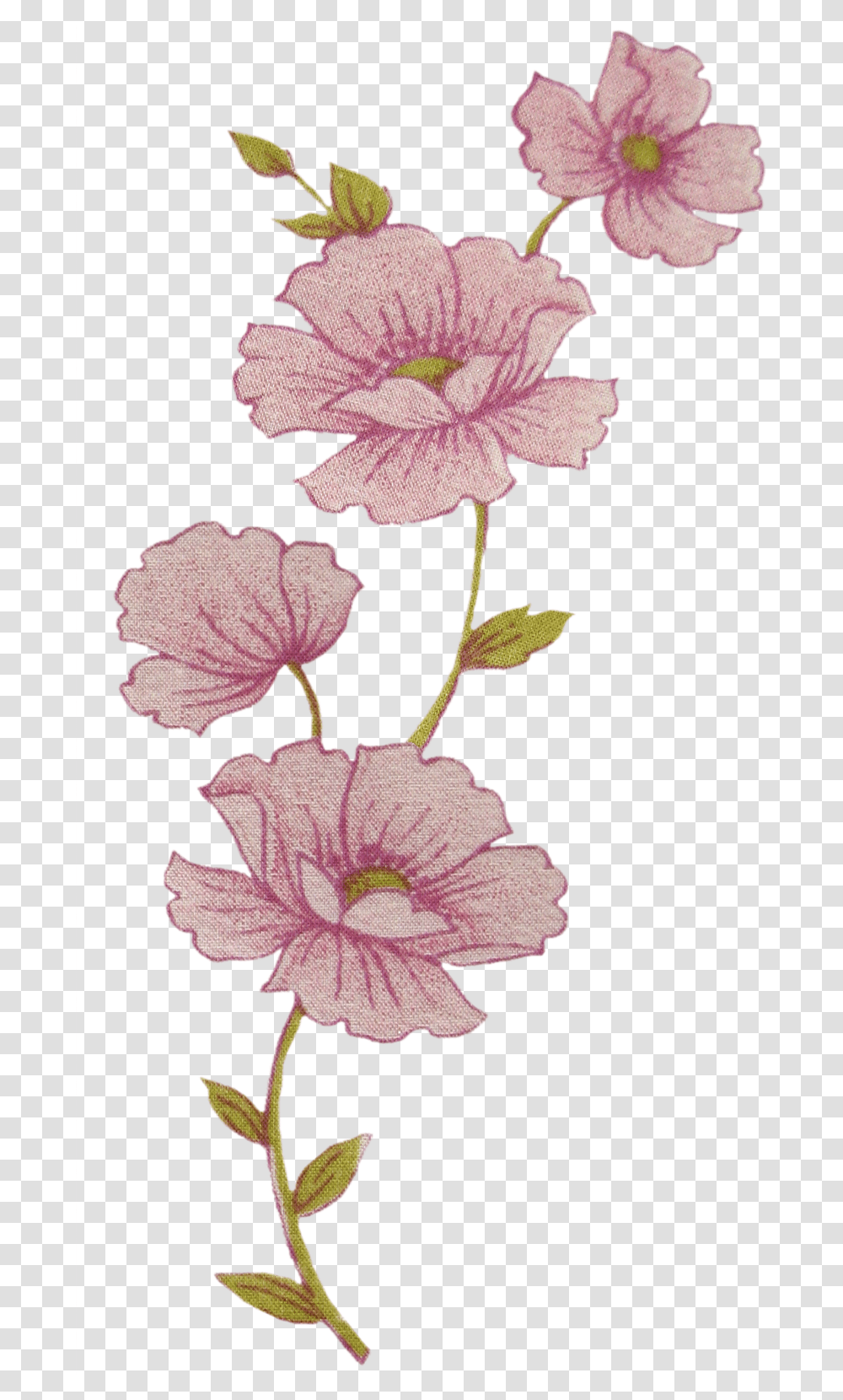 Flores De Tela Y Papel Rosas, Plant, Hibiscus, Flower, Blossom Transparent Png