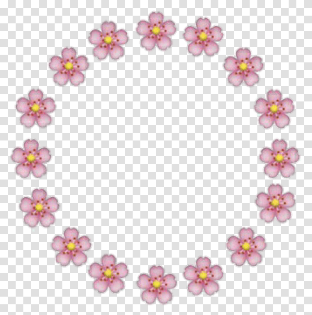 Flores Emoji Rosa Circulo Moldura Fofa Circulos De Flores, Plant, Flower, Blossom, Floral Design Transparent Png