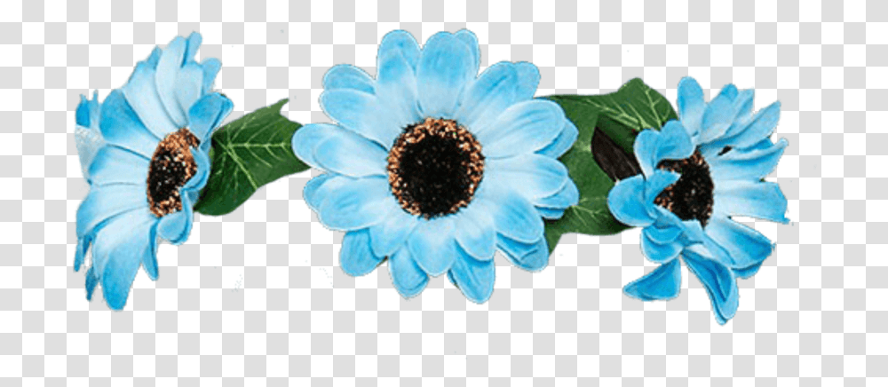 Flores Flowers Flower Blue Rose Roses Crown African Daisy, Anemone, Plant, Blossom, Daisies Transparent Png