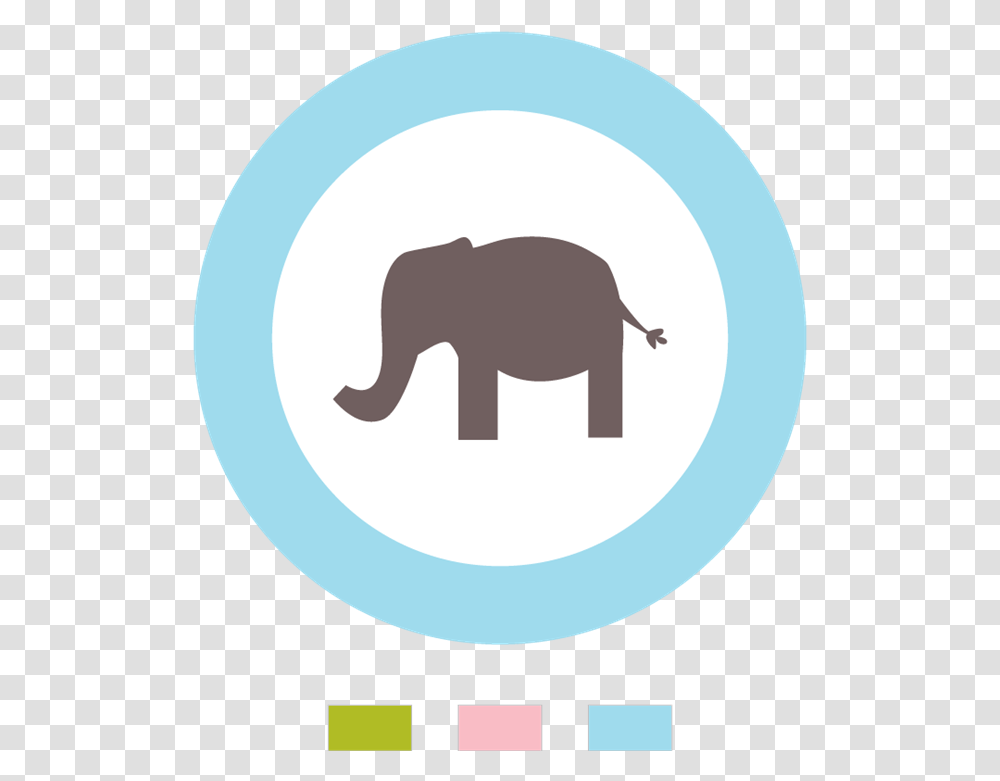 Flores Fuxico, Mammal, Animal, Elephant Transparent Png