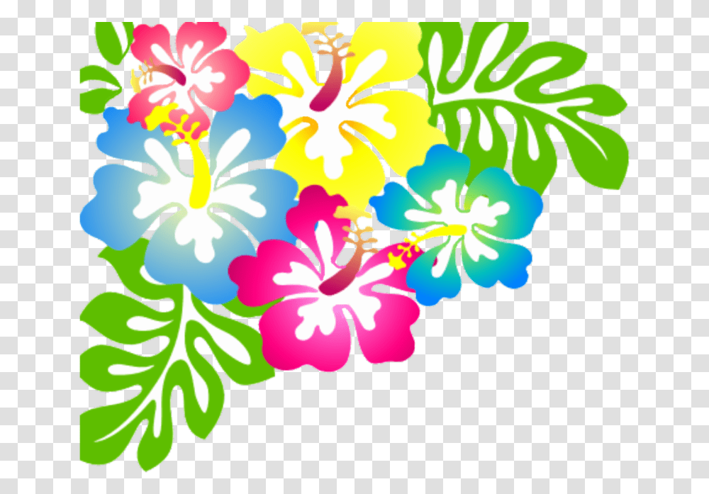 Flores Hawaii, Plant, Flower, Blossom Transparent Png