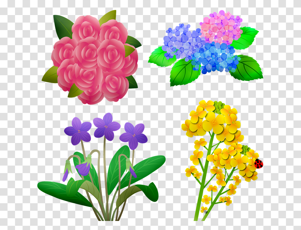 Flores Para Mam, Plant, Flower, Blossom Transparent Png