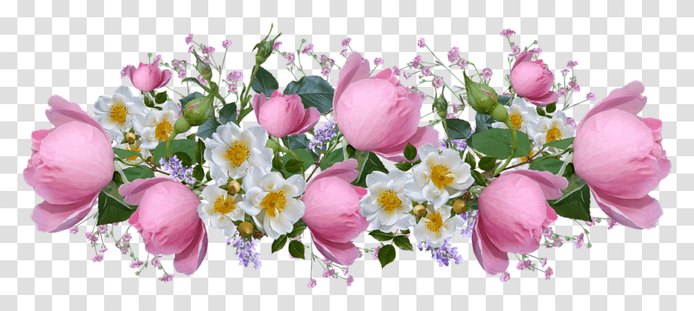 Flores Rosas Rosa Blanco Acuerdo Perfume Jardn Flower Pink White, Plant, Blossom, Flower Arrangement, Flower Bouquet Transparent Png