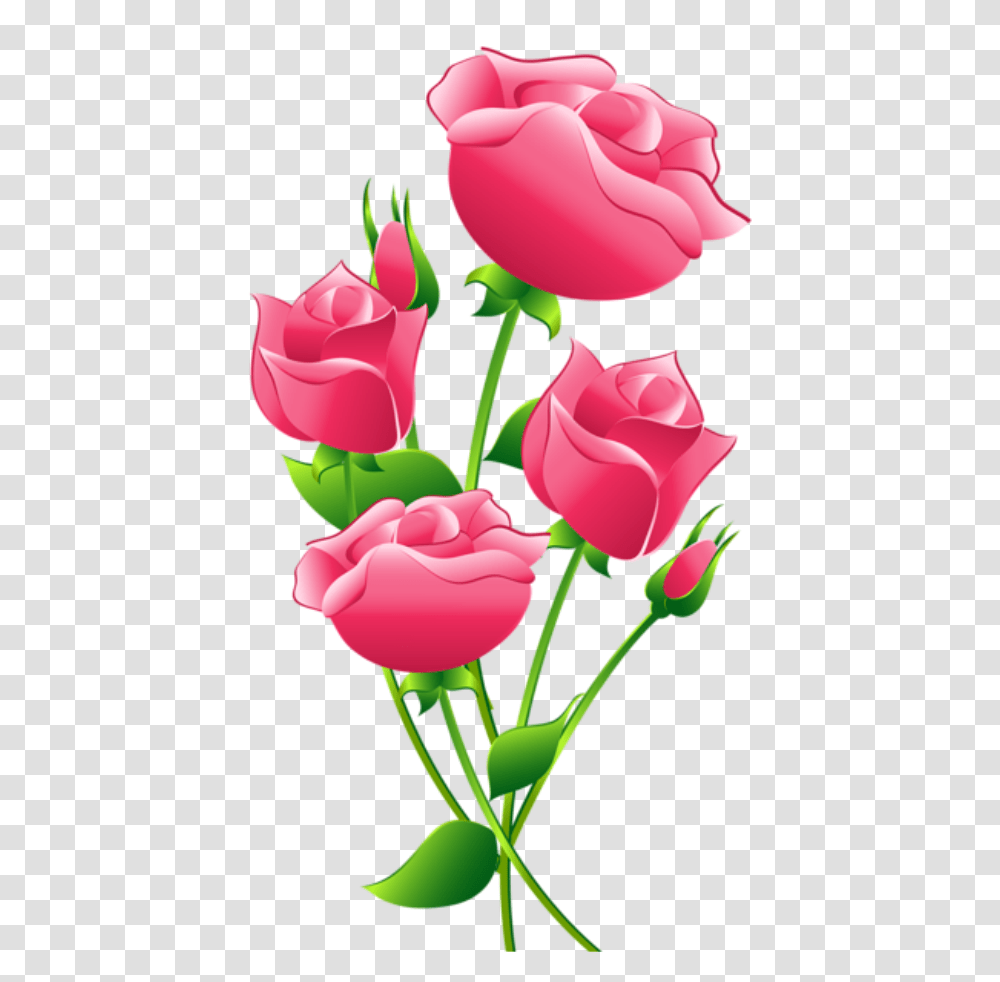 Flores, Rose, Flower, Plant, Blossom Transparent Png
