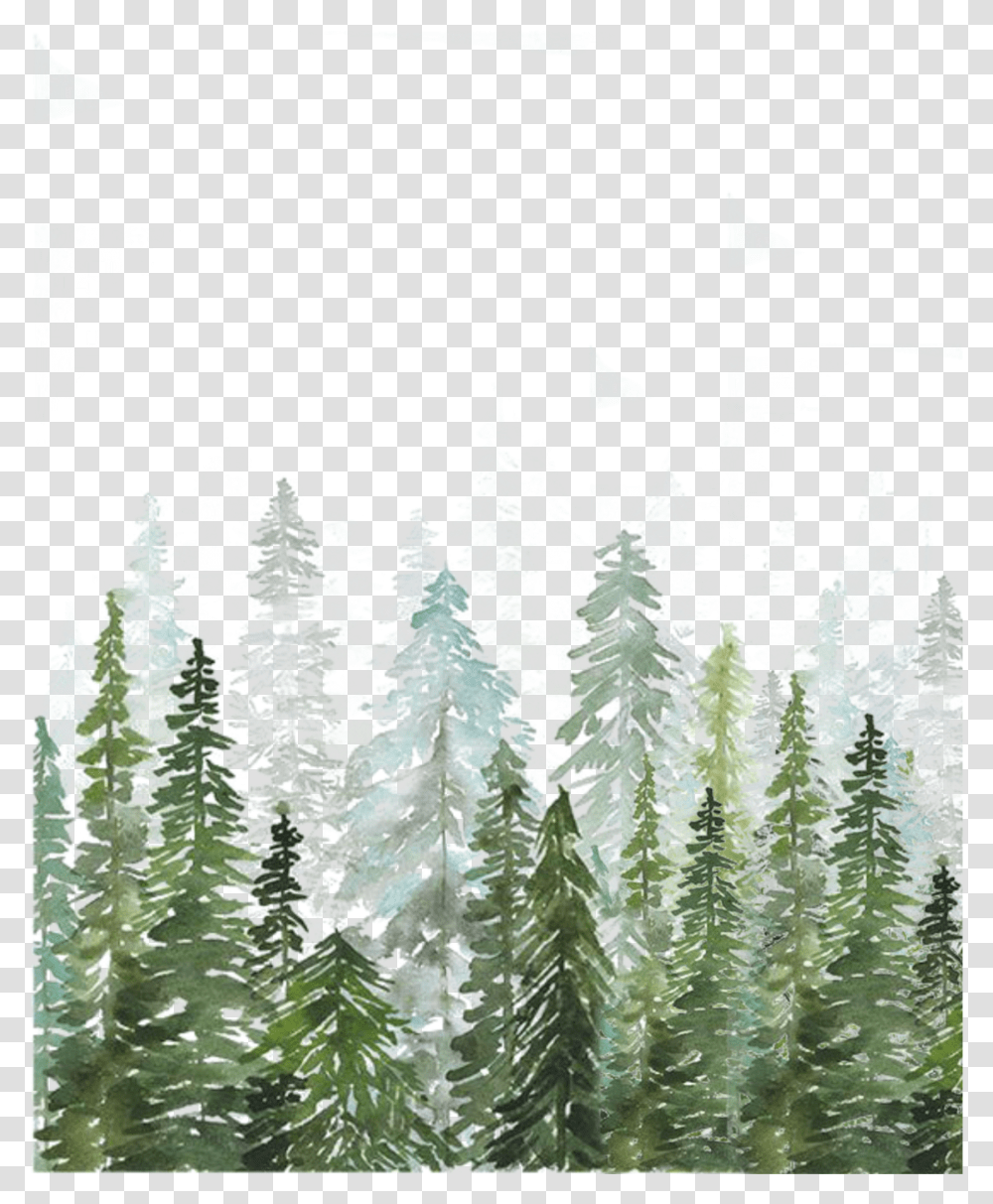Florest Freetoedit Watercolor Pine Tree Forest Transparent Png