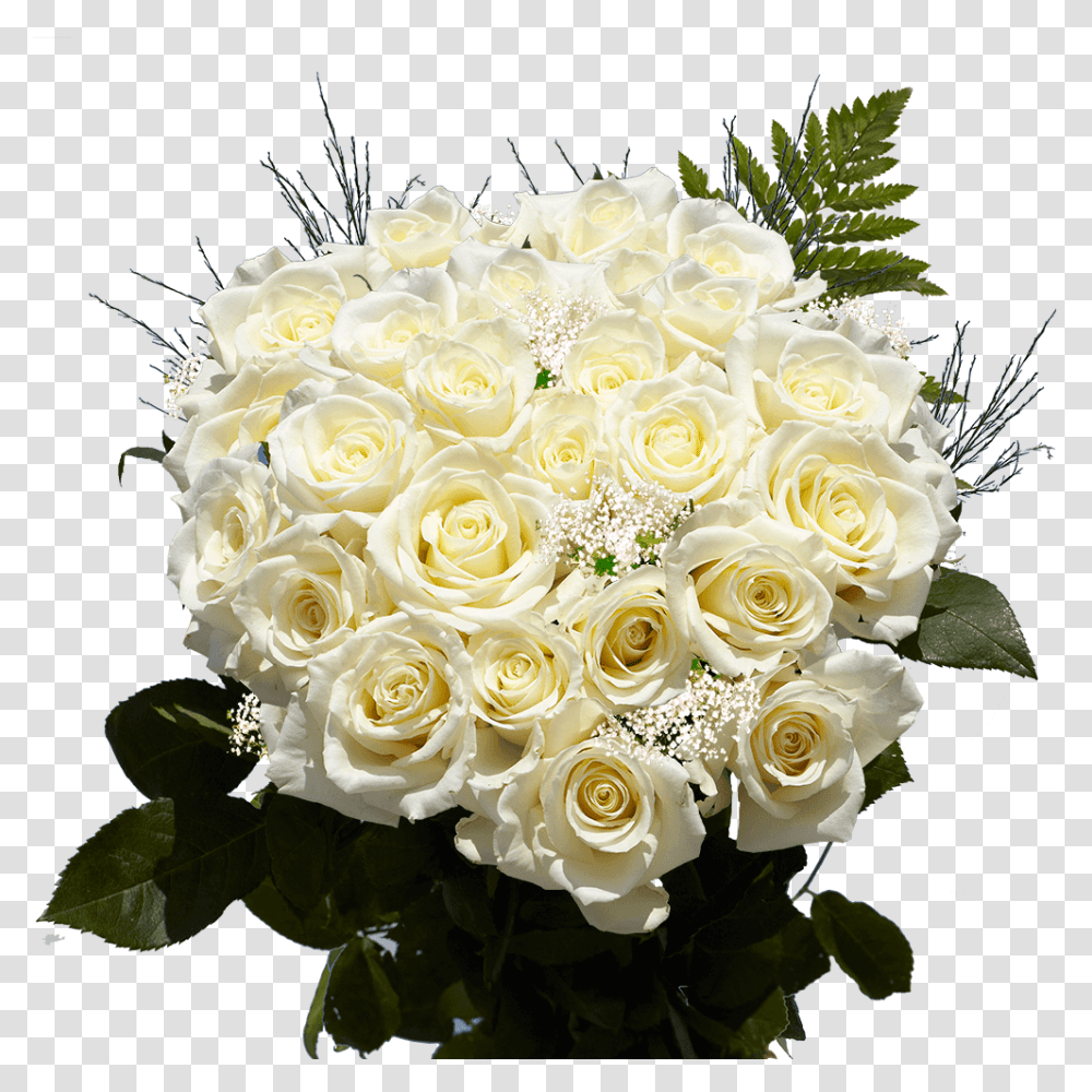 Flori De La Multi Ani, Plant, Flower, Blossom, Flower Bouquet Transparent Png