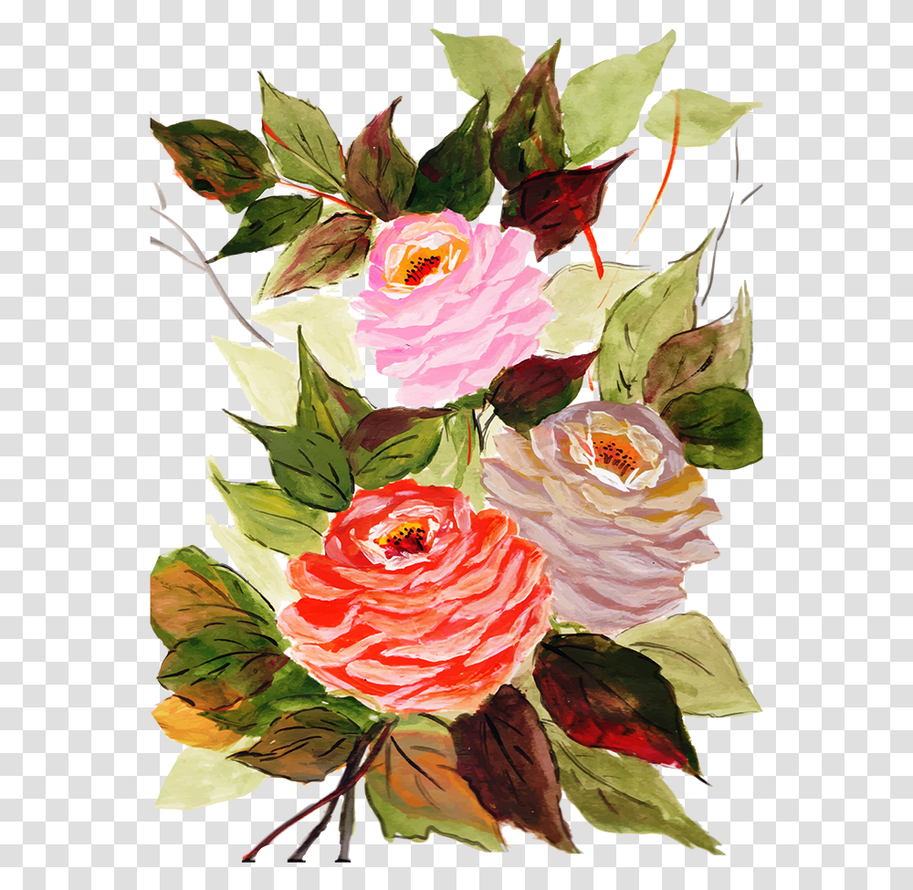 Floribunda, Plant, Floral Design, Pattern Transparent Png