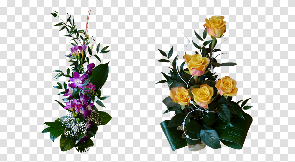Floribunda, Plant, Flower, Blossom, Flower Arrangement Transparent Png