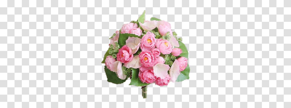 Floribunda, Plant, Flower, Blossom, Rose Transparent Png