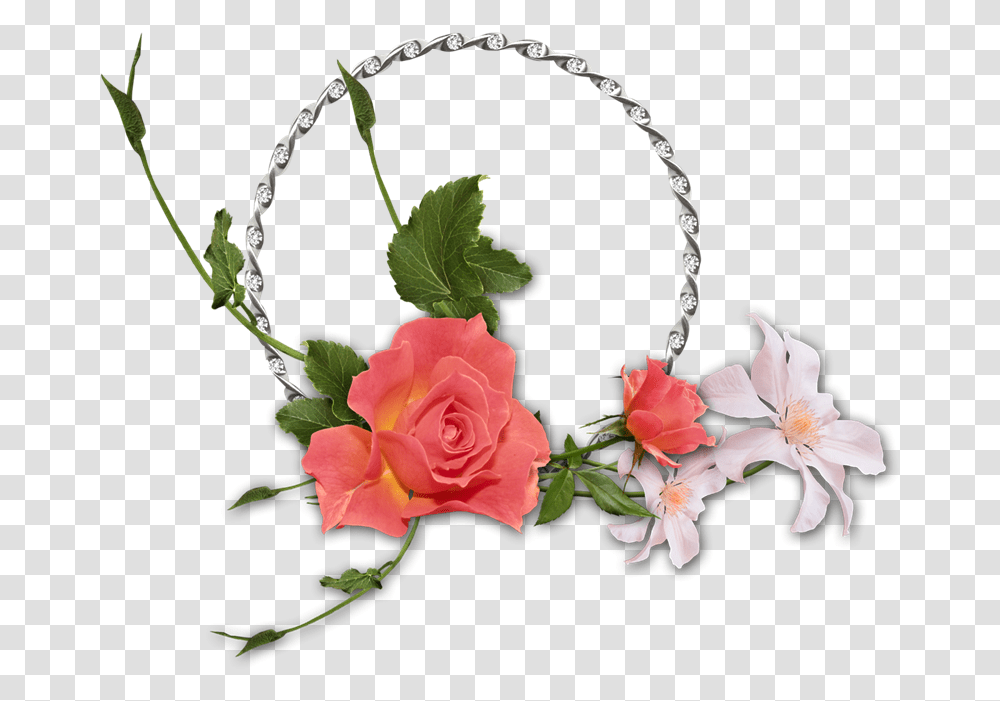 Floribunda, Plant, Flower, Blossom, Rose Transparent Png