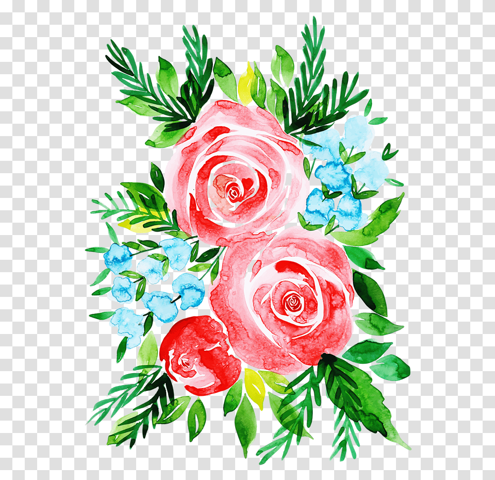 Floribunda, Plant, Rose, Flower, Blossom Transparent Png