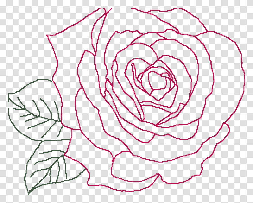 Floribunda, Plant, Spiral, Pattern, Coil Transparent Png