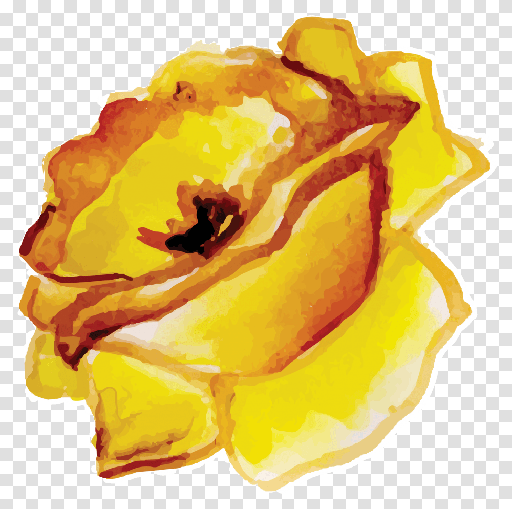 Floribunda, Rose, Flower, Plant, Petal Transparent Png