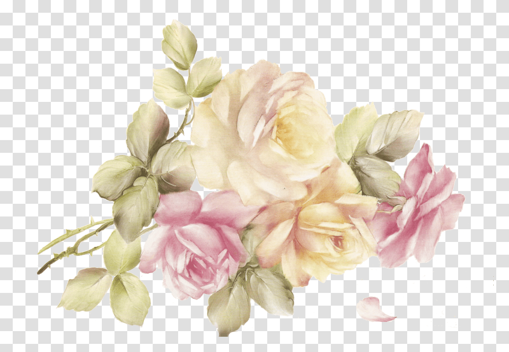 Floribunda Transparent Png