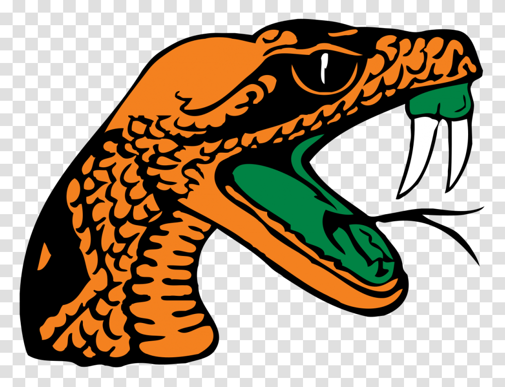Florida Aampm Rattlers And Lady Rattlers, Animal, Dragon, Reptile, Snake Transparent Png