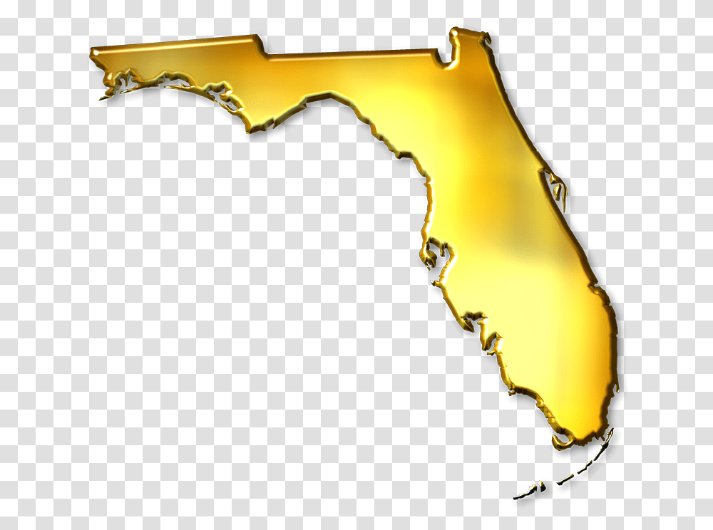 Florida Abstract Style Maps 11 Gold Metallic Gold Florida, Bow, Lighting, Person, Silhouette Transparent Png