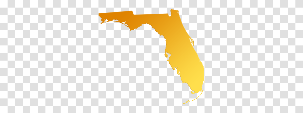 Florida Abstract Style Maps, Plot, Diagram, Atlas, Water Transparent Png