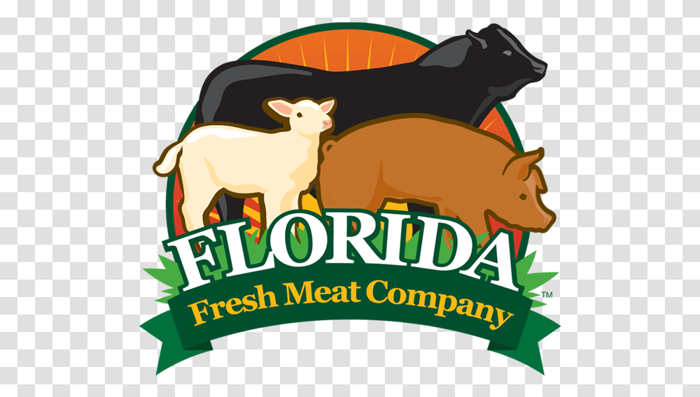 Florida Fresh Meat Company, Mammal, Animal, Sheep, Wildlife Transparent Png