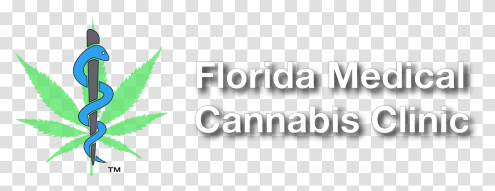 Florida Medical Cannabis Clinic Flag, Text, Bird, Animal, Alphabet Transparent Png