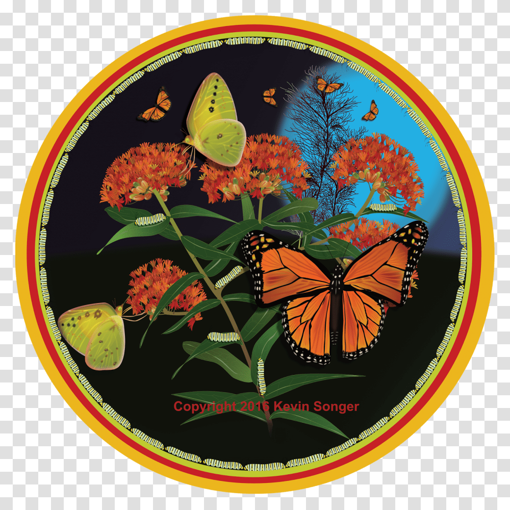 Florida Nature Art Monarch And Milkweed Monarch Butterfly, Painting, Plant, Animal Transparent Png
